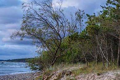 狂飙的AI短剧失序的数字人格